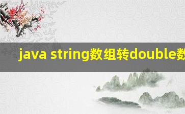 java string数组转double数组